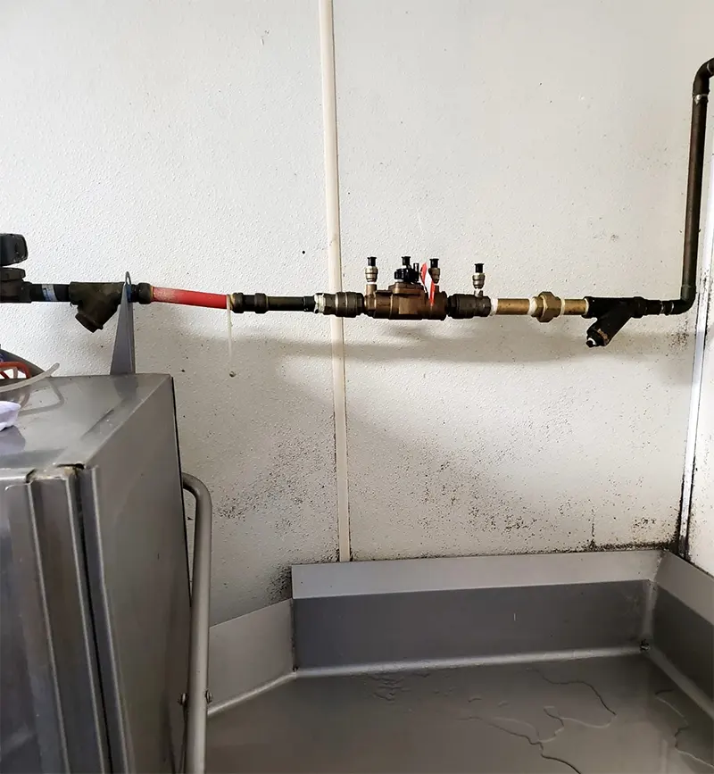 Industrial pipes with a backflow preventer connected to a piece of machinery, above a stainless steel pan.
